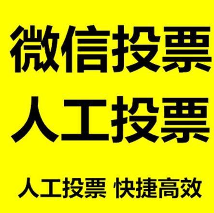 秦皇岛市微信刷票怎么投票